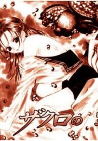 Cover 30681
