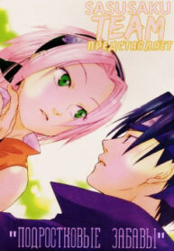 Cover 30745