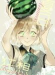 Cover 30895