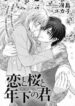 Cover 30911
