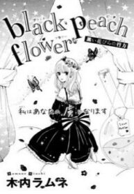 Cover 30972