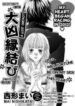 Cover 31046