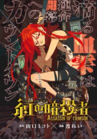 Cover 31047