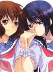 Cover 31077