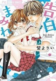 Cover 31090