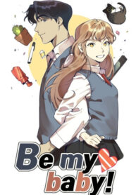 Cover 31104