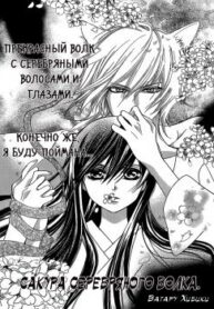 Cover 31215