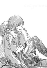 Cover 31217