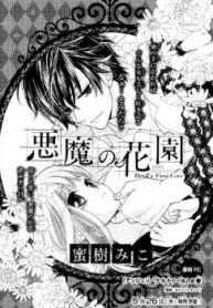 Cover 31219