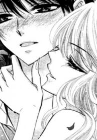 Cover 31224