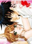 Cover 31231