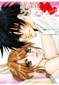 Cover 31231