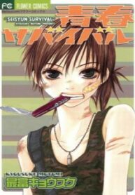 Cover 31246