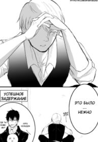 Cover 31309