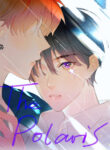 Cover 31331