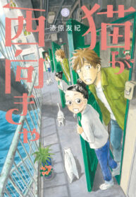 Cover 31625