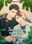 Cover 31650