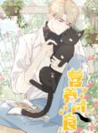 Cover 31652