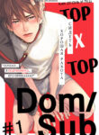 Cover 31908
