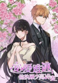 Cover 32020