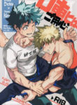 Cover 32498