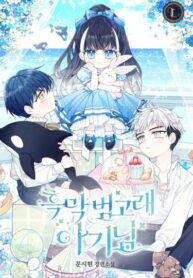 Cover 32752
