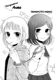 Cover 32942