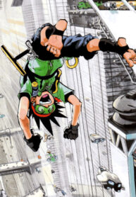 Cover 33036
