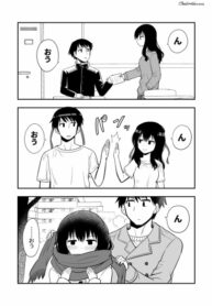 Cover 33061