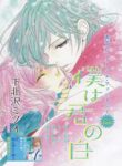 Cover 33126