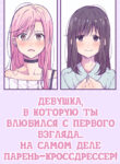 Cover 33154