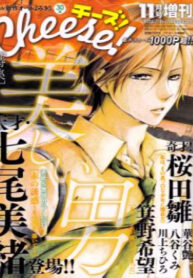 Cover 33170