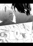 Cover 33196