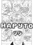 Cover 33250