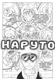 Cover 33250