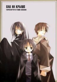 Cover 33344
