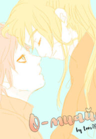 Cover 33371