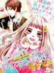 Cover 33376