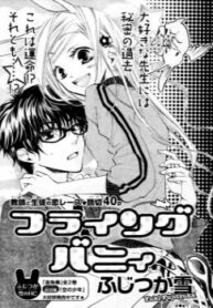 Cover 33379