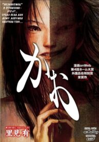 Cover 33401