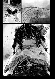Cover 33425
