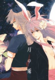 Cover 33464