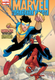 Cover 33485