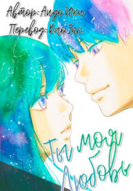 Cover 33488