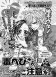 Cover 33506