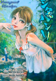 Cover 33536