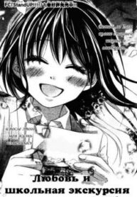 Cover 33539