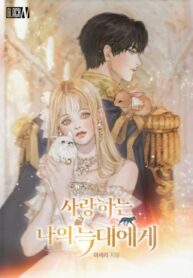Cover 33597