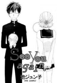 Cover 33606