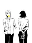 Cover 33615